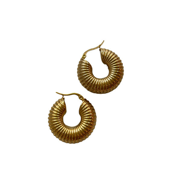Shelby Hoops